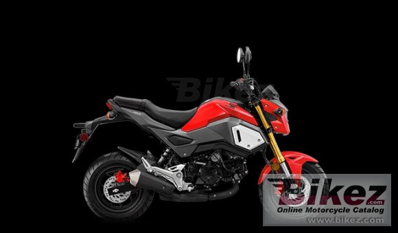 Honda Grom gallery
